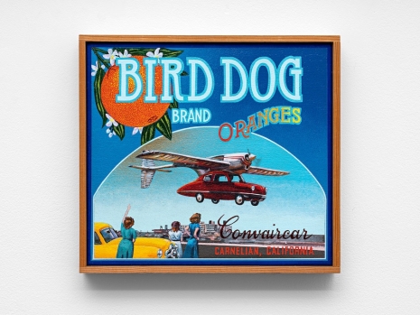 Ben Sakoguchi, Bird Dog Brand, 1995 , STANDARD (OSLO)